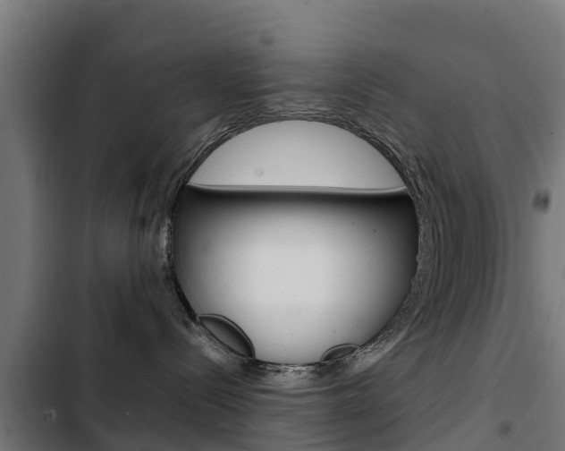 X0000103430288200809121044