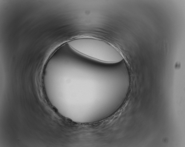 X0000103430289200809121044