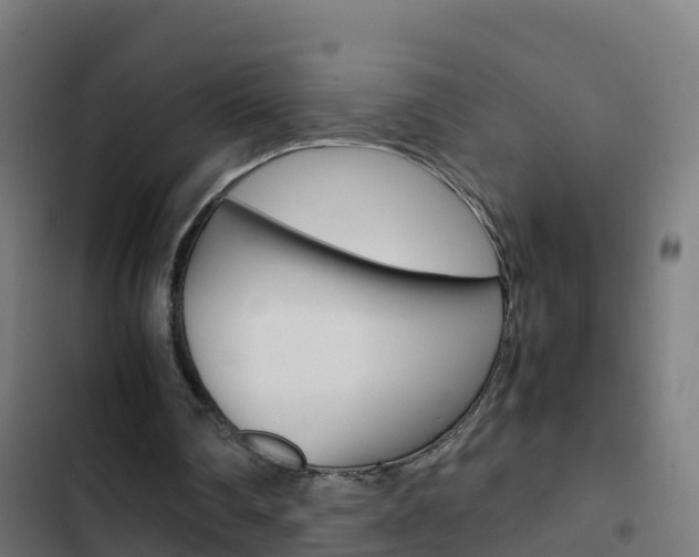 X0000103430290200809121044