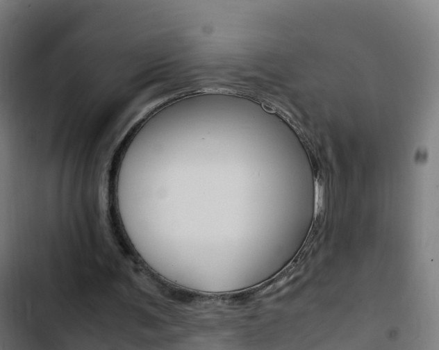 X0000103430291200809121044