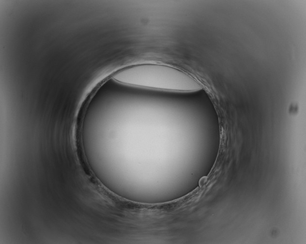 X0000103430292200809121044
