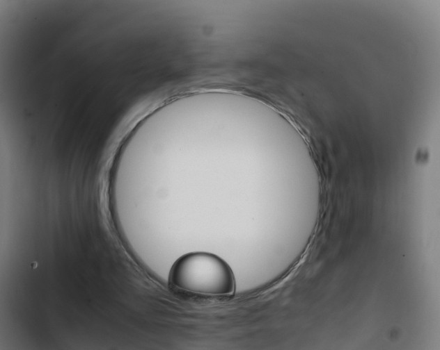 X0000103430293200809121044