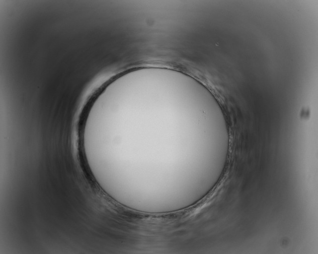 X0000103430294200809121044