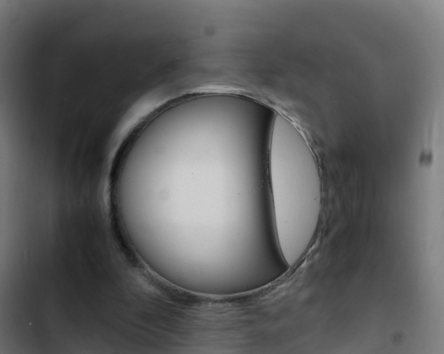 X0000103430296200809121043
