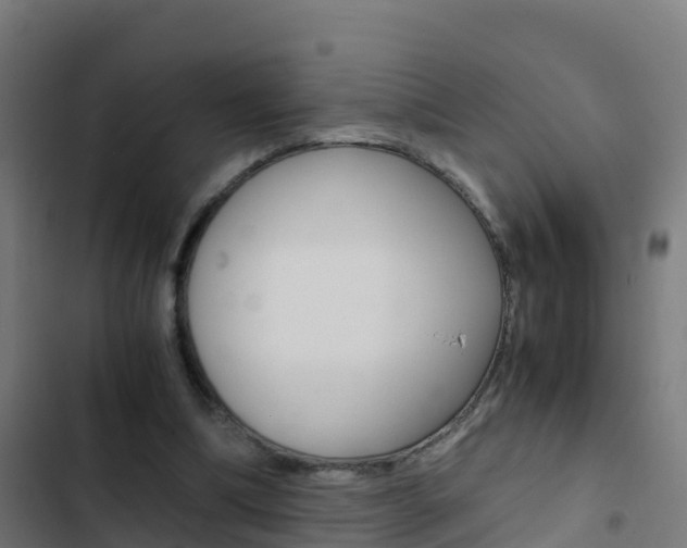 X0000103430298200809121043