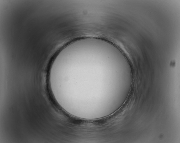 X0000103430299200809121043