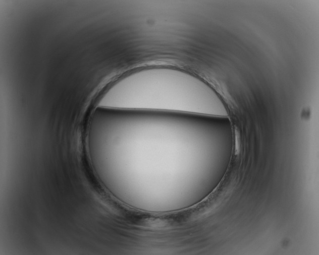 X0000103430300200809121043