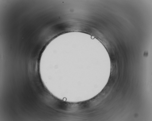 X0000103430301200809121043