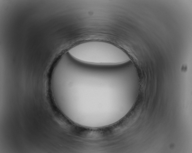 X0000103430303200809121043