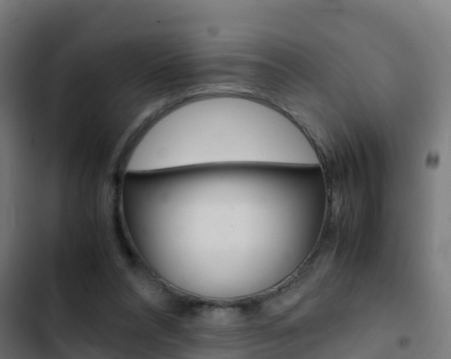 X0000103430304200809121043