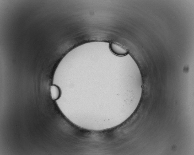 X0000103430305200809121043