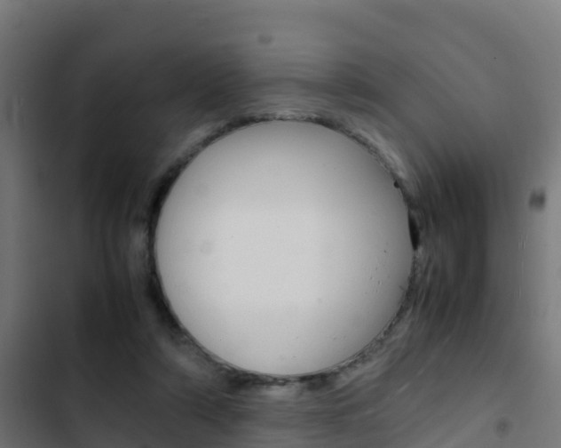 X0000103430306200809121043