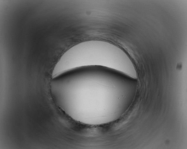 X0000103430307200809121043