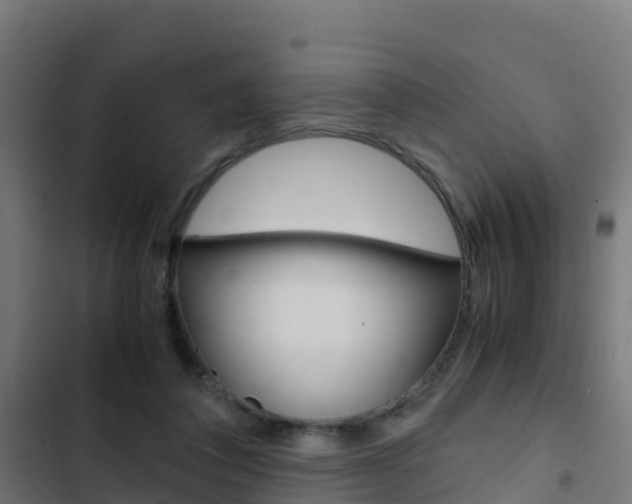 X0000103430308200809121043
