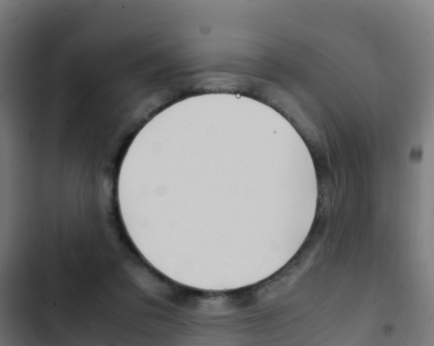 X0000103430309200809121043