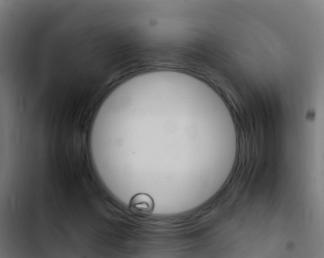 X0000103430312200809121043