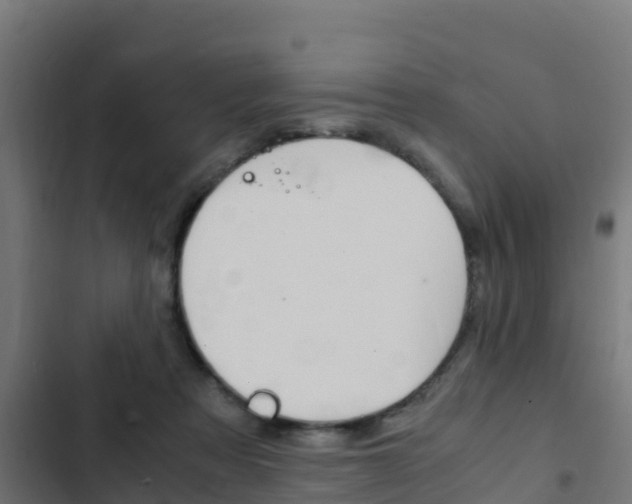 X0000103430313200809121043