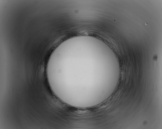 X0000103430314200809121043