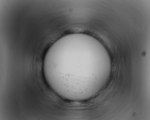 X0000103430315200809121043