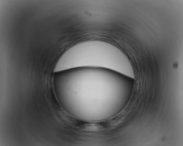 X0000103430316200809121043