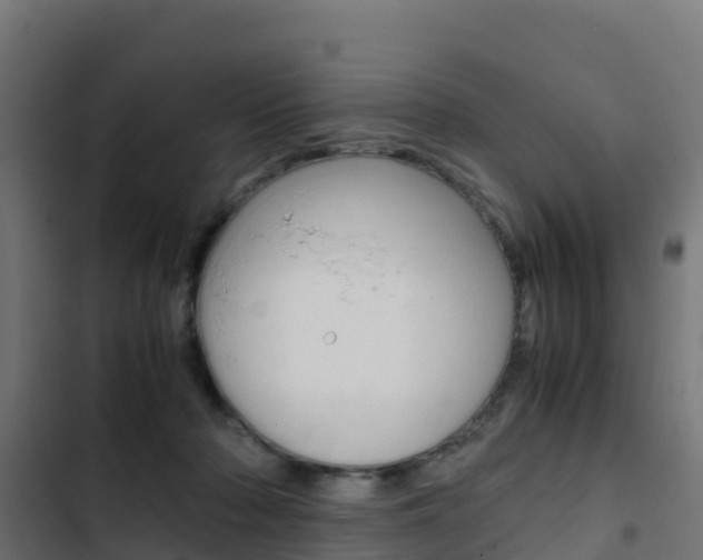 X0000103430318200809121043