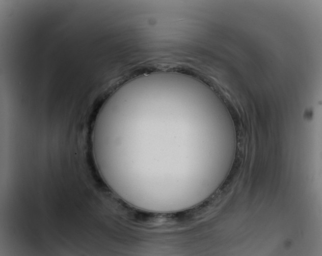 X0000103430319200809121043