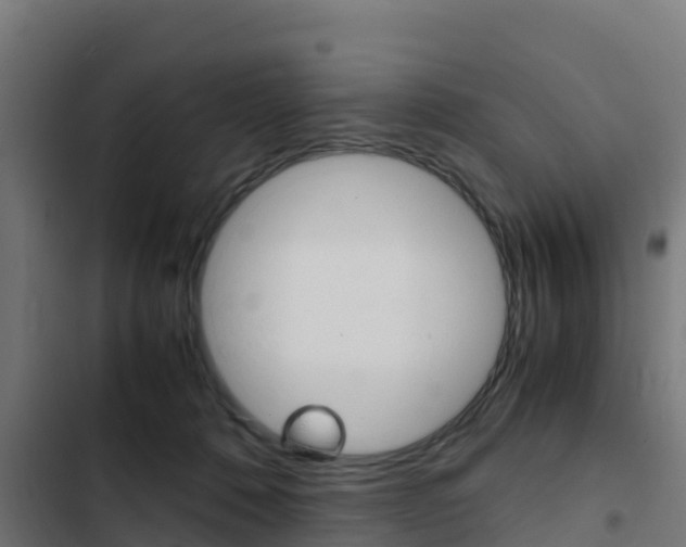X0000103430320200809121043
