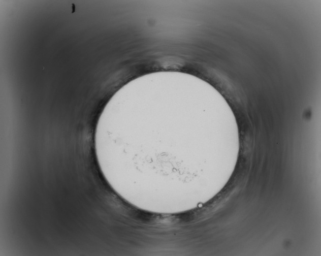 X0000103430321200809121043