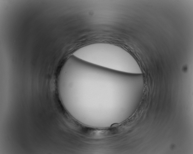 X0000103430323200809121043