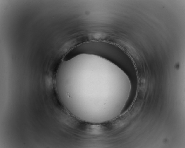 X0000103430324200809121043