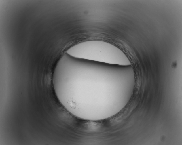 X0000103430326200809121043