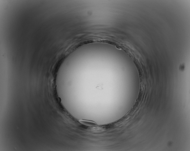 X0000103430327200809121043
