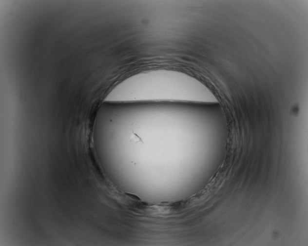 X0000103430328200809121043