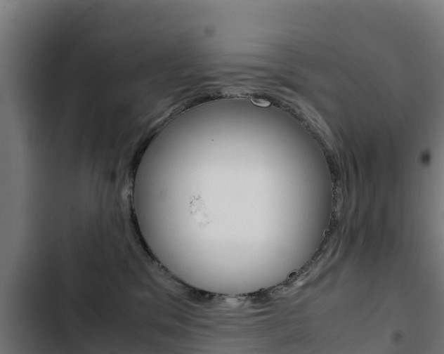 X0000103430329200809121043