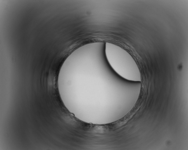 X0000103430330200809121043
