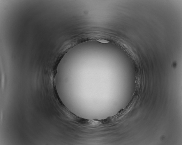 X0000103430333200809121043