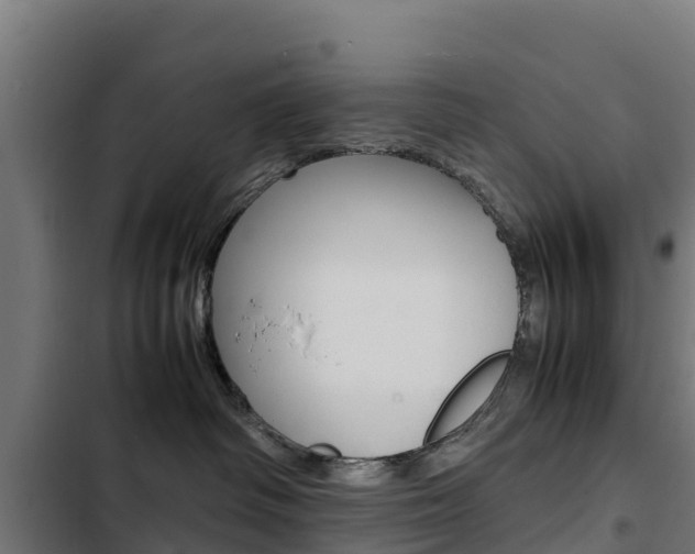 X0000103430334200809121043