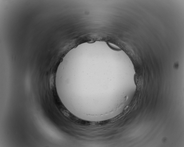 X0000103430335200809121043