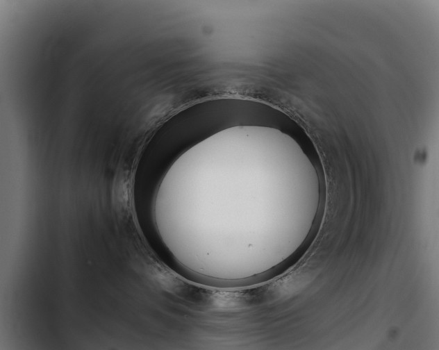 X0000103430336200809121043