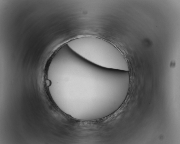 X0000103430338200809121042