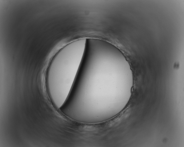 X0000103430341200809121042