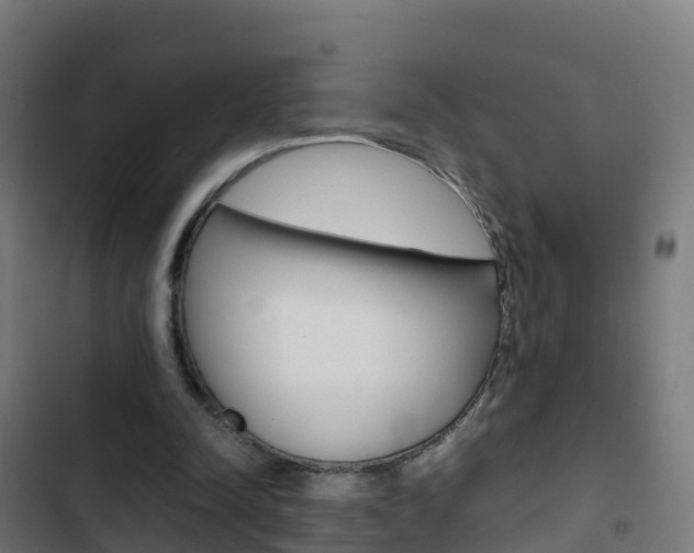 X0000103430342200809121042