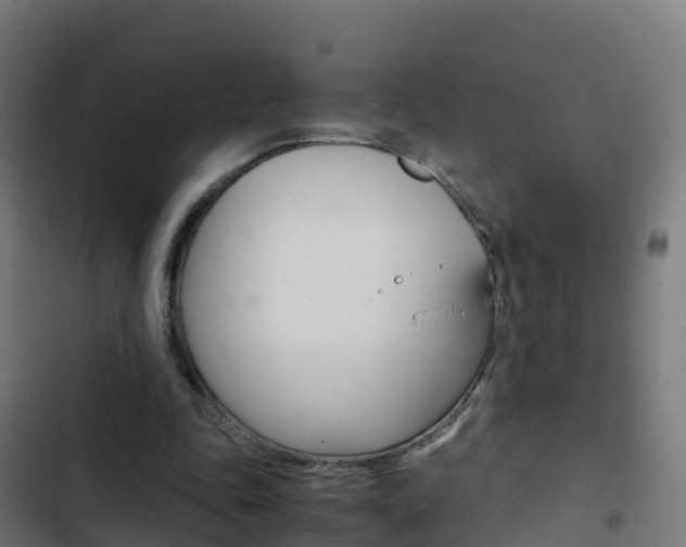 X0000103430343200809121042