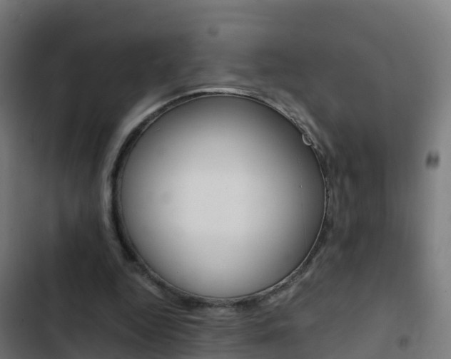 X0000103430344200809121042
