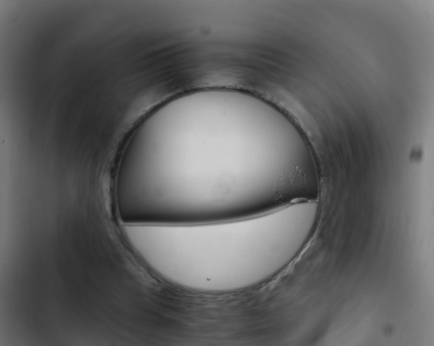 X0000103430345200809121042