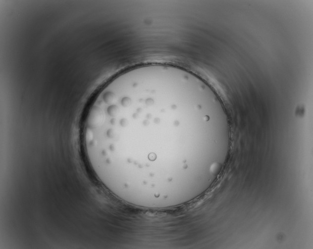 X0000103430346200809121042