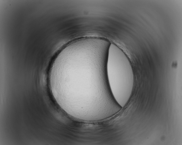 X0000103430347200809121042