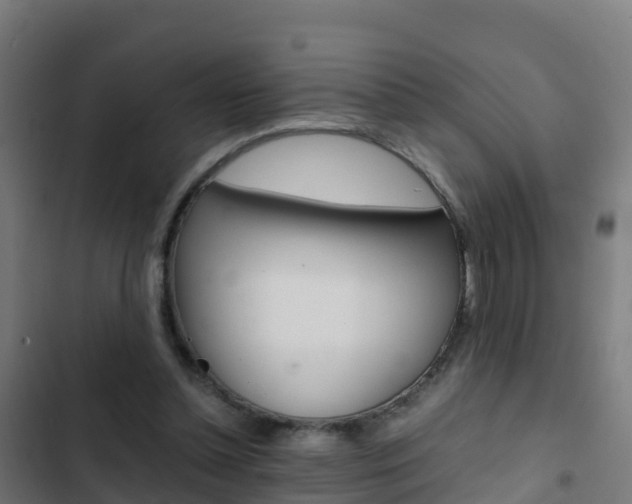 X0000103430348200809121042