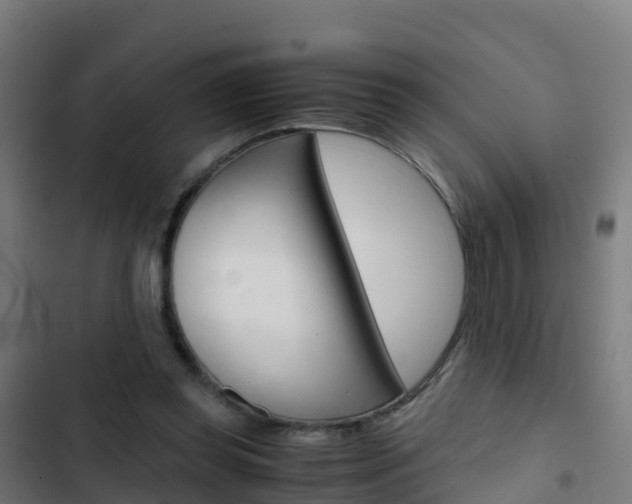 X0000103430349200809121042