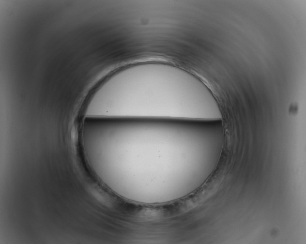 X0000103430350200809121042
